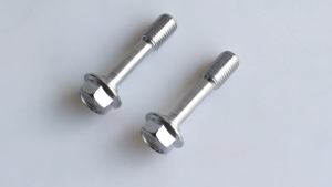 2Pcs-YAMAHA (10*45) FRONT SHOCK BOLT FOR Sniper 150/155/135/NMAX/AEROX/RS150/EX5/SYM VF3I (FOR LOWER FORK)FORK SCREW