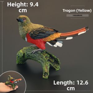 MENGSILE | Solid Educational Red-headed Trogons Bird Model Toy