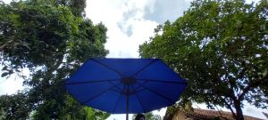 kain payung besar untuk jualan kain payung meteran kain payung jumbo kain payung pantai kain payung besar untuk jualan jumbo kain payung cafe kain payung tanan kain payung kafe kayu jati payung cantik payung korea payung lipat murah payung jualan