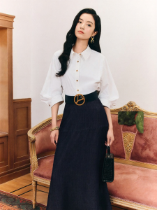 Retro Turn-down Collar Lantern Sleeve Shirt
