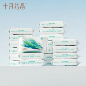 SHI YUE JIE JING | Portable Private Cleaning Wet Wipes