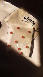 POUCH ZIPLOCK TRANSPARAN GAMBAR KAKTUS/TAS KOSMETIK DAN ALAT TULIS