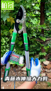 Braun Mall-กรรไกรตัดกิ่ง กรรไกรตัดกิ่งไม้ด้ามยาว ตัดกิ่งได้ เหล็ก กรรไกรตัดหญ้า กรรไกรตัดกิ่ง ตัดกิ่งไม้ ด้ามยาว ปรับความยาว68-103cm. 6ระดับๆละ7cm.ใบมีดคมsk5