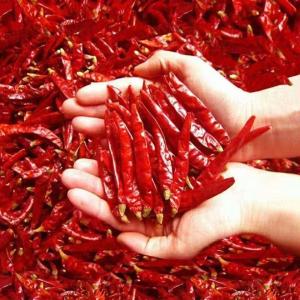Ớt Sấy Siêu Cay Thương Mại