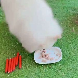 Pet Sausage Per Box 90pcs-150pcs Sausage Premium Pet Treat High Quality Pet Sausage for Dogs and Cat [30/90/150pcs]