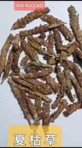 Xia Ku Cao 100 Gram 夏枯草 Xia Ku Cao Herbal Xia Gu Cao Herba Prunella vulgaris Bahan Liangteh