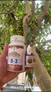 Thuốc kích sung ra quả h1 b3