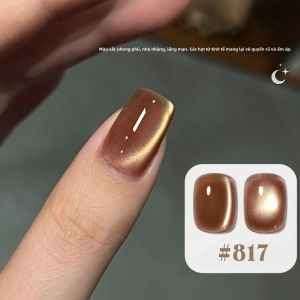 Bộ 6 Sơn Gel Mắt Mèo 2025 Thu Đông Màu Đen Socola Nâu Hổ Phách Với Hạt Thủy Tinh Dành Cho Trang Trí Móng