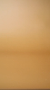 NATURACTOR COVER FACE - NATURACTOR FOUNDATION & CONCEALER JEPANG