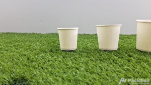 Ice cream cups sampling cup portion cups Disposable Ice cream Cup and Coffee cup Paper cups