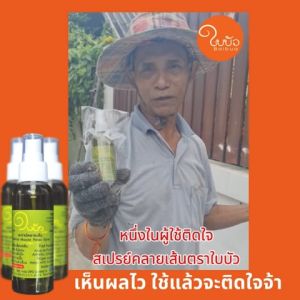 สเปรย์สมุนไพร 60 มล. /100 มล. สูตรเข้มข้น หายปวดใน 1 นาที  /  ปวด เมื่อย สมุนไพร ใบบัว BaiBua สเปรย์แก้ปวด สเปรย์แก้ปวดเร็ว - Lazada