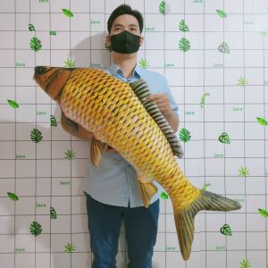 GỐI ÔM NGỦ HÌNH CÁ CHÉP GỐI ÔM 3D CHO BÉ MẪU GIÁO MỀM MỊN
