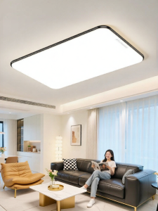 Changhong | Ultra-thin Modern Minimalist Living Room Lamp