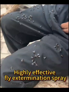 ⚡No flies within 1000M⚡fly killing powder spray 500ml langaw killer