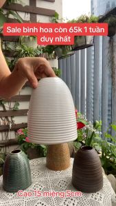 Bình chuông gốm cắm hoa siêu đẹp cắm hoa kẽm nhung cành đào đỏ đa dạng màu sắc