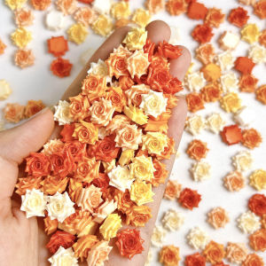 Đồ Trang Trí Móng Tay Bằng Nhựa Bóng Ngọt Ngào 3D Tối Giản Dạ Quang Hoa Hồng Quyến Rũ Nhiều Màu Sắc Thiết Kế Làm Móng Tay DIY 30/60 CÁI