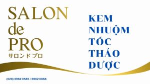 Kem nhuộm tóc phủ bạc cao cấp Salon de Pro - Màu 4R Nâu ánh tím Chính hãng Nhật Bản không mùi