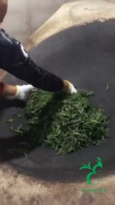 ชาต้งติ่งอูหลง เบอร์ 19 ออแกนิค Organic Dong Ding Oolong Tea no.19 Emerald Thai Tea brand ชาอู่หลง ชาคั่ว ชาต้งติ่ง ชาเบอร์ 19 - ตรา ชาไทยมรกต ใบชาโชคจำเริญ -ขนาด 200กรัม-