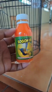 Nektar Sogon 87 Pakan Burung Sogon Colibry sebagai sumber penggacor berprotein lengkap