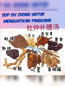 Sup Du Zhong Untuk Menguatkan Pinggang (1 pack)