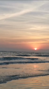 RAMUSIR ADAWIYAH 99 ISI 65 KPS|KAPSUL RAMUSIR ATASI GEJALA WASIR DAN AMBEIEN|KAPSUL EKSTRA DAUN UNGU