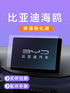 Diyi Black Tech Car Interior Accessories Tempered Glass Screen Protector for Diyi Sea Eagle Model 25 Styles Dashboard Display