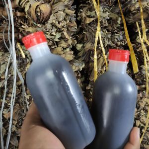 Minyak Karo Asli / Minyak Balur / Minyak Alun Tradisional Karo [300ml]