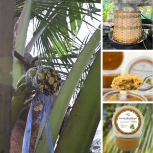 น้ำตาลมะพร้าวแท้อัมพวา x 10กระปุก 5 กิโล ไม่ผสมน้ำตาลทราย