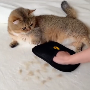 ถุงมือกำจัดขนแมวแบบไฟฟ้าสถิต แปรงขนสัตว์เลี้ยง ถอดขนง่าย ไม่เจ็บตัว ถุงมือแปรงขนแมว สุนัขแบบไฟฟ้าสถิต แปรงสองทาง New pet hair removal tools reusable gloves pet double-sided beauty gloves carpet removal pet fur hair pet supplies