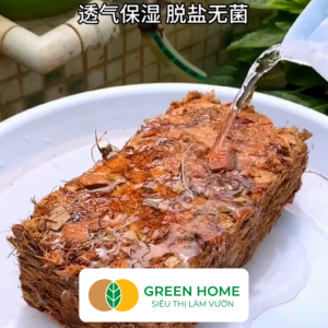 Mua 5 tặng 1 - Xơ Dừa Cục Greenhome Viên 500gr Dừa Nén Nở Gấp 5 Lần Kích Thích Rễ Thoát Nước Tốt Giá Thể Kiểng