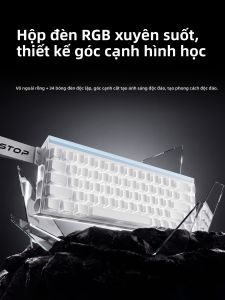 EWEADN | Bàn Phím Trò Chơi Từ Trục