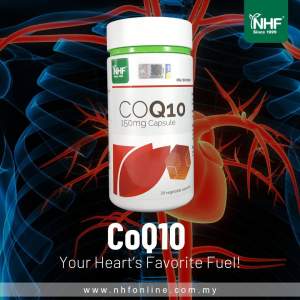 NHF Coenzyme Q10 (150mg x 30 Capsules) [Exp: 4/2026] Nfh Coenzyme Q10 150Mg Coenzymes Q 10 Coenzyme Q10 600 Mg - Lazada