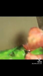 Lạp xưởng heo tươi  loại 250g-Lạp xưởng heo tươi loại ngon tỷ lệ 80% nạc