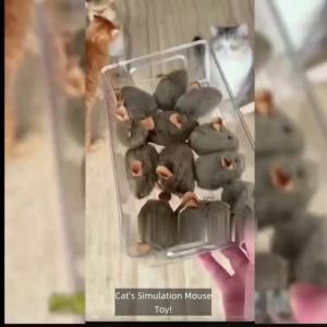 New simulation mouse automatic squeaking interactive kitten toy durable bite-resistant pet cat toy cat and dog supplies