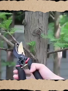 Gunting Dahan /Gunting Tanaman/Gunting Ranting/Ranting Bunga Tanaman / PVC - Gunting Kebun & Taman/gunting Cabang Dahan Ranting