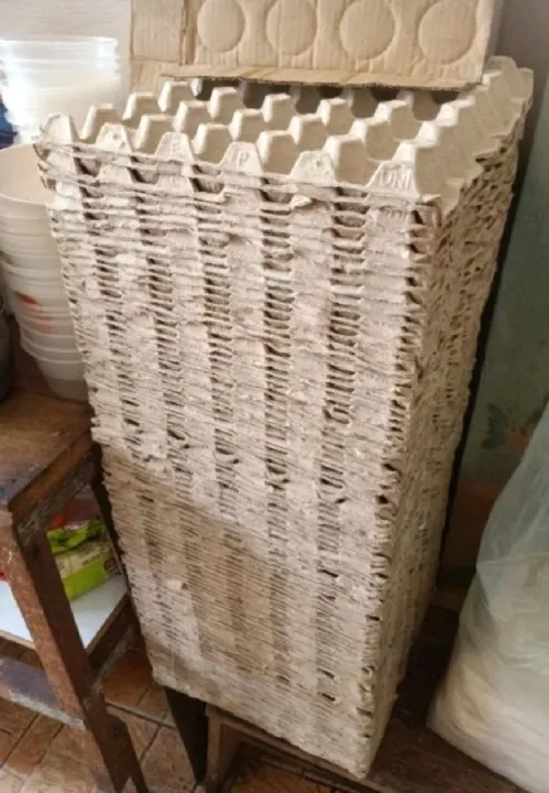 🌻 Ready Stock 🌻🌼Egg tray#Reused Egg#Tray Kotak Telur Terpakai#95%Clean ...