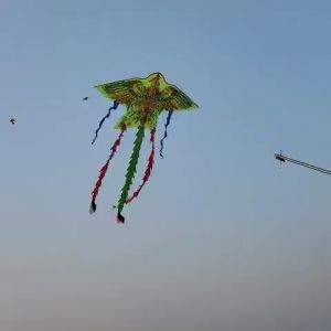 Diều Phụng 5 Đuôi Đại Long Vân Diều Phụng 5 Đuôi Cho Trẻ Từ 4-6 Tuổi Trò Chơi Thư Giãn Ngoài Trời - Lazada