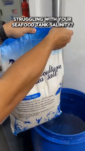 25kg Aquaculture Seasalt Seasalt for Restaurant Seasalt for Seafood Aquarium Sea Salt 1sack