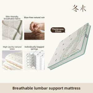 DONGMU | Firm Natural Coconut and Latex Spring Mattress 22cm
