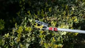 กรรไกรตัดหนีบผลไม้ด้ามยาว 4มSK-5ปรับความยาวได้ กรรไกรตัดหนีบ ตะกร้อสอยผลไม้ กรรไกรตัดกิ่ง กรรไกรแต่งกิ่ง มัลติฟังก์ชั่น