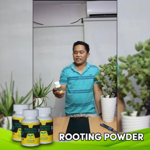 ROOTING GOLD HORMONE POWDER PREMIUM GOLD - for plants growth