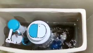 Toilet Bowl Cleaner and Deodorizer: A Comprehensive Guide