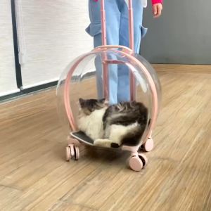 (Bergaransi) Tas Trolli Transparan | Pet Cargo | Tas Anjing Kucing Murah | Tas Ransel Hewan atau Travel Bag Nyaman dan Anti Air Cat Bag Pet Bag Tas Kucing Baru Pet Trolley Case Ransel Hewan Peliharaan Keluar Portabel Pet Air Box Tas Trolley Kucing Anjing