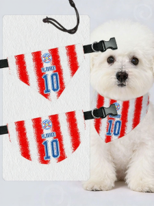 LEXI | Pet Fan Scarf 2026 World Cup Paraguay Team