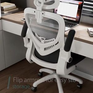 LENOBLE Office Chair Ergonomic Chair High Back With Adjustable Armrest Lumbar Support