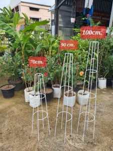 ซุ้มไม้เลื้อย T-Rose ทรีโรส 70cm  90cm  100cm  1.5m  1.8m  ซุ้มกุหลาบ ซุ้มไม้เลื้อย Little TREE Factory ซุ้มต้นไม้ โครงต้นไม้ โครงดอกไม้ กุหลาบ