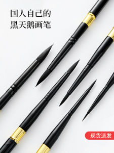 Black Swan Watercolor Brush Pen Travel Set Digital Oil Painting Brush Watercolor Drawing Professional Art Student Outline Pen