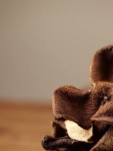 GANGULI | Aged Newark Dried Tangerine Peel