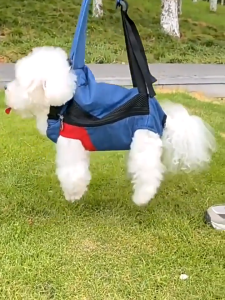 กระเป๋าเป้สะพายสัตว์เลี้ยง เป้ใส่หมา กระเป๋าสัตว์เลี้ยง เป้สะพายหลังใส่สุนัข กระเป๋าแมว เป้อุ้มสุนัข เป้สะพาย แมว และสุนัข สัตว์เลี้ยง ส่งของในไทย