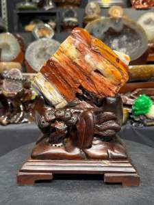 Top quality rare red fossil tree 💯天然玉化树化玉 少量红色玉化所以珍藏价值也相对的高✔️ 红色寓意为: 喜庆、大吉🧧 也搭配着黄白色泽 整体玉化鲜艳美丽👍 🆓附送雕刻实木底座  树化玉高: 14.5cm  宽: 10x10.5cm  净重: 2.3kg 含底座高: 25cm  底座宽: 19x15cm  总重: 3.1kg